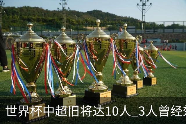 世界杯中超旧将达10人 3人曾经效力国安海港两将
